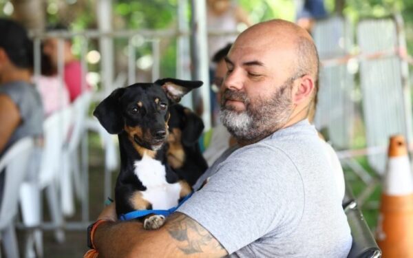 Castração gratuita de cães e gatos em São José: programa abre mil vagas com inscrição online