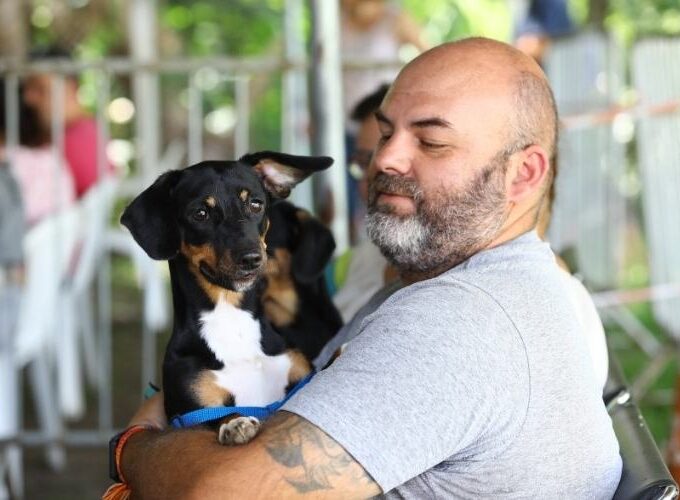 Castração gratuita de cães e gatos em São José: programa abre mil vagas com inscrição online