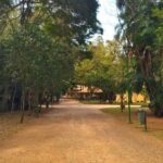 Projeto de lei propõe aulas gratuitas de corrida de rua em São José dos Campos