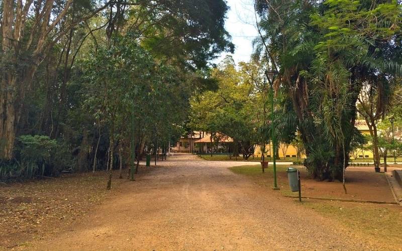 Projeto de lei propõe aulas gratuitas de corrida de rua em São José dos Campos