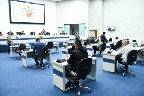 Vereadores analisaram 249 documentos; cinco requerimentos foram rejeitados, entre eles propostas de Sérgio Camargo (PL) e Renato Santiago (União)