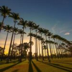 Defesa Civil alerta para calor fora de época e baixa umidade do ar; máximas podem passar dos 30°C ao longo da semana