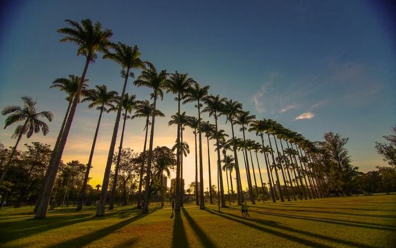 Defesa Civil alerta para calor fora de época e baixa umidade do ar; máximas podem passar dos 30°C ao longo da semana