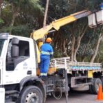 Força-tarefa de poda chega ao bairro Monte Castelo