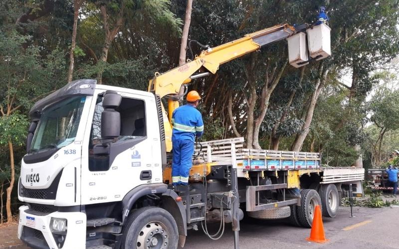 Força-tarefa de poda chega ao bairro Monte Castelo