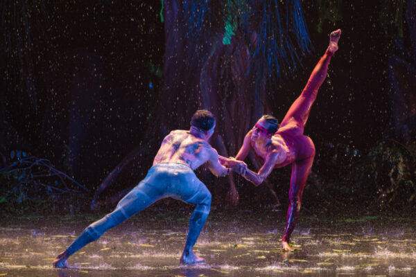 Festival gratuito terá oito dias de espetáculos, oficinas e mostras em diferentes espaços da cidade. Festidança acontece de 5 a 13 de setembro