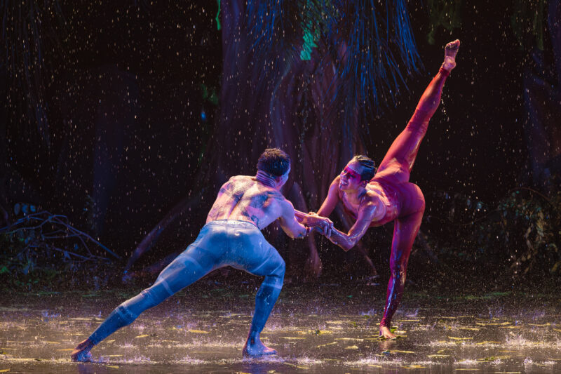 Festival gratuito terá oito dias de espetáculos, oficinas e mostras em diferentes espaços da cidade. Festidança acontece de 5 a 13 de setembro