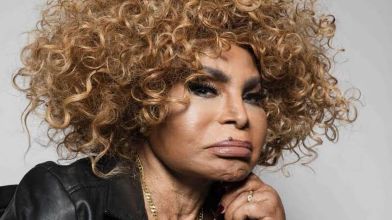 O projeto Cena de Mulher homenageia, na próxima sexta-feira (22), a partir das 20h, o legado de Elza Soares, uma das maiores cantoras e personalidades da música brasileira. O show acontece no Palco do Arquivo, no Parque da Cidade