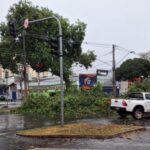 Temporal com ventos de 109 km/h provoca estragos em São José dos Campos