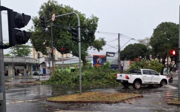 Temporal com ventos de 109 km/h provoca estragos em São José dos Campos