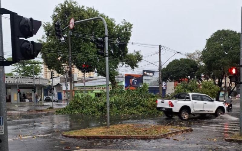 Temporal com ventos de 109 km/h provoca estragos em São José dos Campos