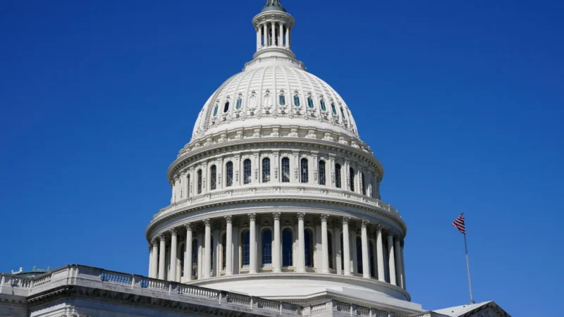 Capitólio dos Estados Unidos por Elizabeth Frantz REUTERS