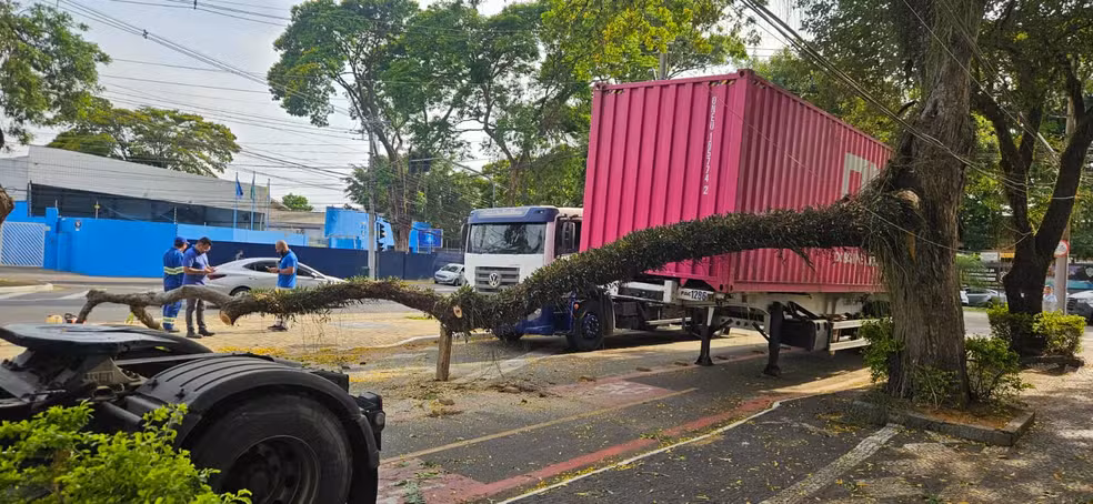 Galhos de árvores caem em vias da região central de São José dos Campos