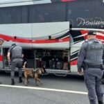 Operação integrada flagra transporte irregular e reforça fiscalização na Rodovia dos Tamoios