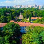Calor extremo marca os últimos dias do ano em São José dos Campos. Dica é se refrescar em sombras e parques da cidade. Confira os parques de São José dos Campos