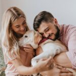 Seguro pet movimenta R$ 1,54 bilhão e deve crescer 13% ao ano até 2033, aponta estudo