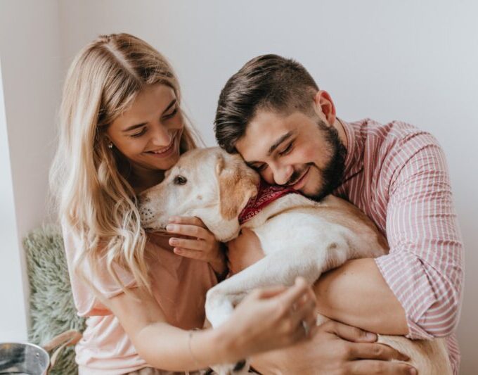 Seguro pet movimenta R$ 1,54 bilhão e deve crescer 13% ao ano até 2033, aponta estudo