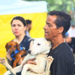 Castração gratuita de cães e gatos abre mil vagas em São José a partir de terça-feira