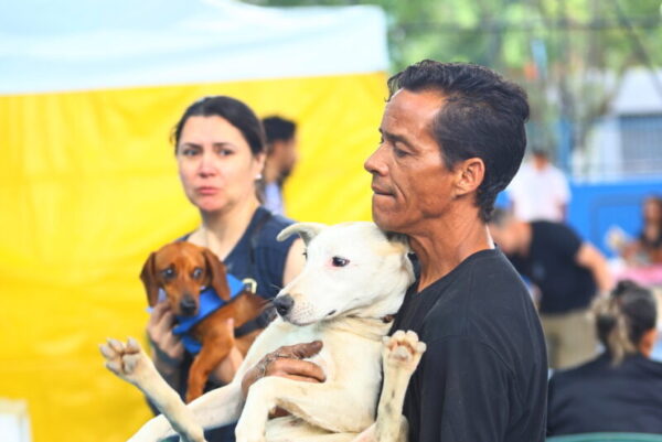 Castração gratuita de cães e gatos abre mil vagas em São José a partir de terça-feira