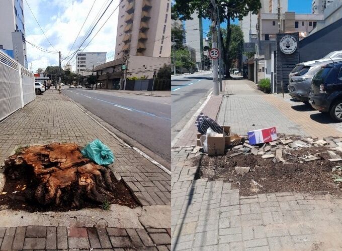 Falta de reposição de árvores e calçada danificada geram reclamações na Avenida Adhemar de Barros, em São José