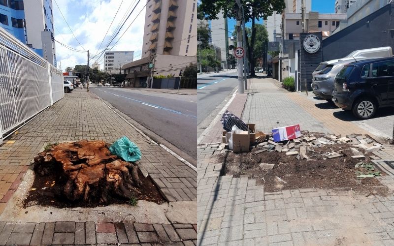 Falta de reposição de árvores e calçada danificada geram reclamações na Avenida Adhemar de Barros, em São José