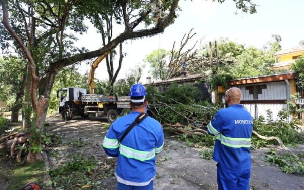 Ventos chegaram a 117 km/h em São José; previsão indica mais chuva e alerta segue ativo