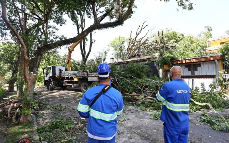 Ventos chegaram a 117 km/h durante temporal em São José; previsão indica mais chuva e alerta segue ativo