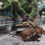 Chuva provoca queda de árvores, interdições e falta de energia em São José dos Campos