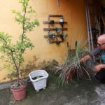 combate à dengue em Jacareí