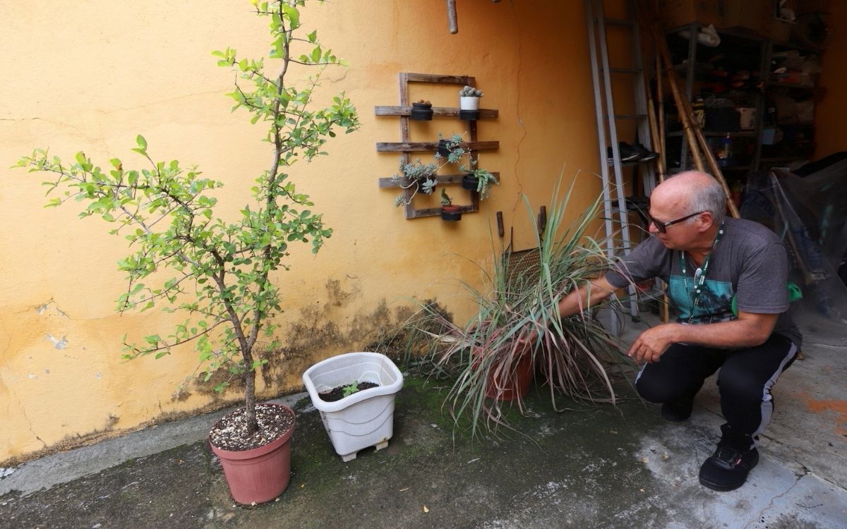 combate à dengue em Jacareí