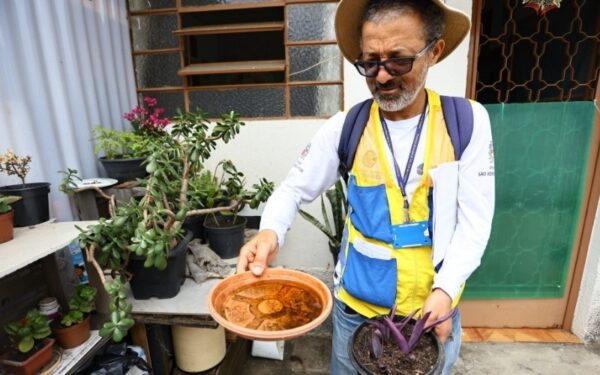 Dengue recua no início de 2026 em São José, mas índice ainda mantém cidade em estado de alerta