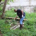 Escorpiões avançam em Jacareí e Vigilância intensifica ações em bairros com maior número de ocorrências