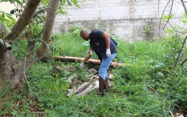 Escorpiões avançam em Jacareí e Vigilância intensifica ações em bairros com maior número de ocorrências