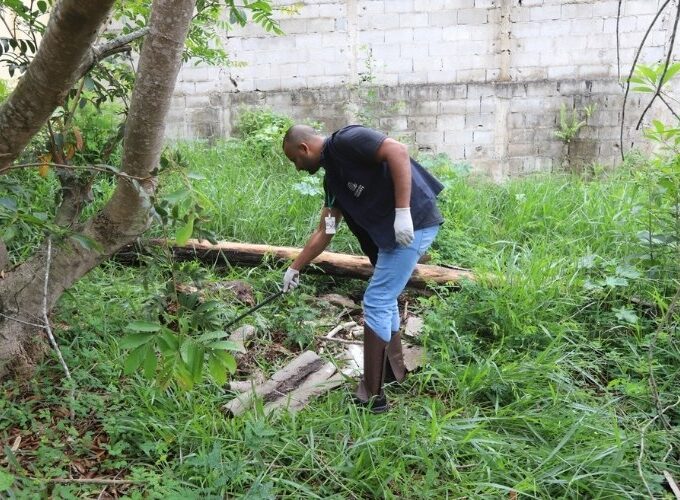 Escorpiões avançam em Jacareí e Vigilância intensifica ações em bairros com maior número de ocorrências