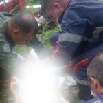 ataque de pitbull no jardim Primavera, em São José dos Campos