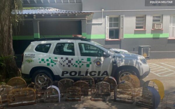 Polícia apreende aves em gaiolas no Campo dos Alemães em São José dos Campos