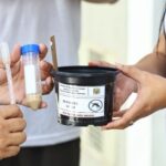 São José instala armadilhas para monitorar presença do mosquito da dengue