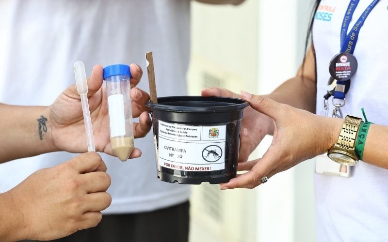 São José instala armadilhas para monitorar presença do mosquito da dengue