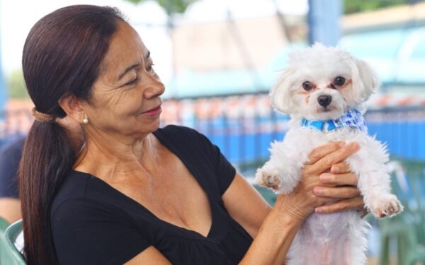 Castramóvel vai ao Campo dos Alemães neste domingo com 195 vagas gratuitas para castração e microchipagem