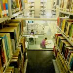 Cinco bibliotecas públicas de SJC oferecem oficinas, contação de histórias e encontros literários gratuitos em abril. Veja a programação completa e os endereços