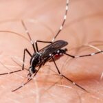 Lagoinha confirmou duas mortes por febre amarela nesta quarta (22). Nenhuma das vítimas era vacinada. Vale do Paraíba acumula três óbitos pela doença em 2026, incluindo caso em Cunha