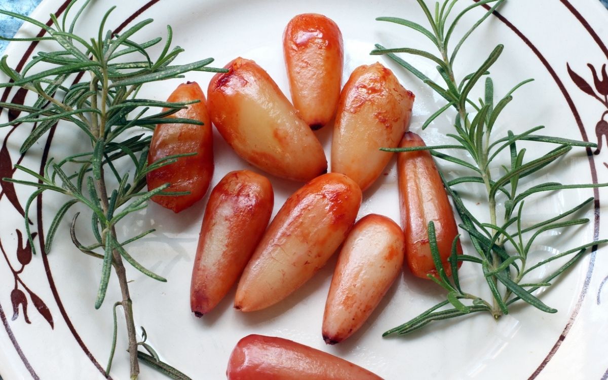 Festival Gastronômico celebra o pinhão em Cunha a partir de 11 de abril