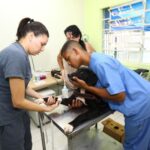 São José dos Campos abre mil vagas para castração e microchipagem gratuita de cães e gatos a partir desta terça (7). Inscrições online até 20 de abril ou fim das vagas