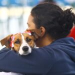 Castração gratuita de pets em São José dos Campos abre 1.000 vagas nesta terça-feira (12)