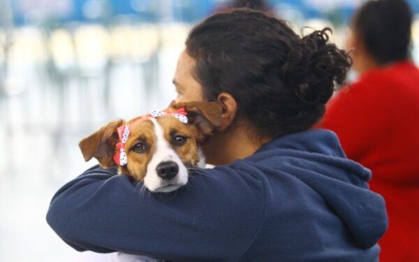 Castração gratuita de pets em São José dos Campos abre 1.000 vagas nesta terça-feira (12)