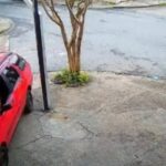 Homem invade casa da ex-namorada na Vila Tesouro, bate carro em muro durante fuga e é preso em São José dos Campos