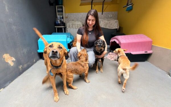Meu Pet Feliz abre mil vagas para castração e microchipagem gratuitas nesta terça-feira em São José dos Campos