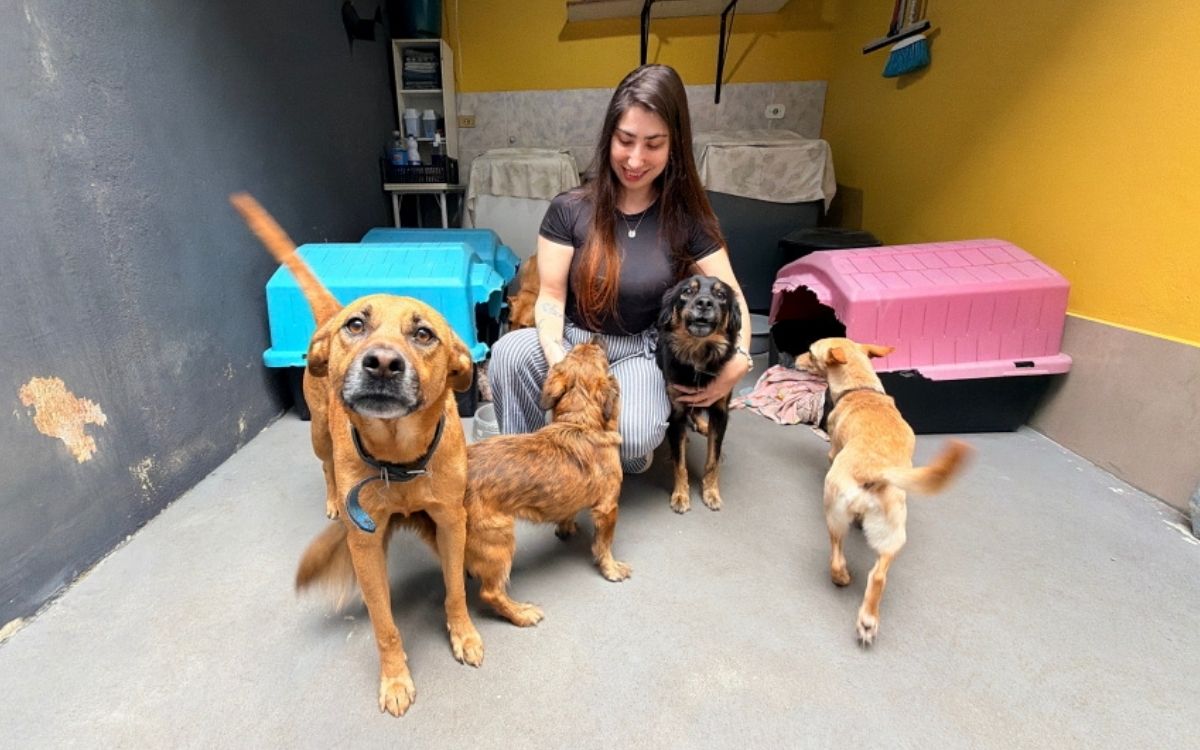 Meu Pet Feliz abre mil vagas para castração e microchipagem gratuitas nesta terça-feira em São José dos Campos