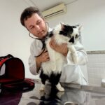 Prefeitura anuncia novo Hospital Veterinário Municipal com atendimento 24 horas em São José dos Campos