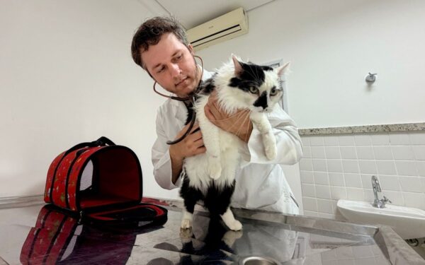 Prefeitura anuncia novo Hospital Veterinário Municipal com atendimento 24 horas em São José dos Campos